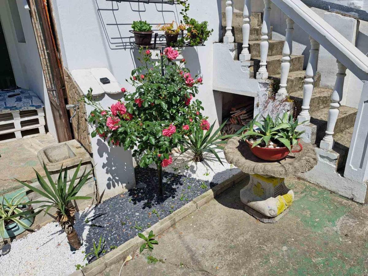 Stefan Apartman Novi Sad Dış mekan fotoğraf