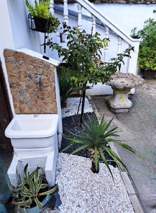Stefan Apartman Novi Sad Dış mekan fotoğraf