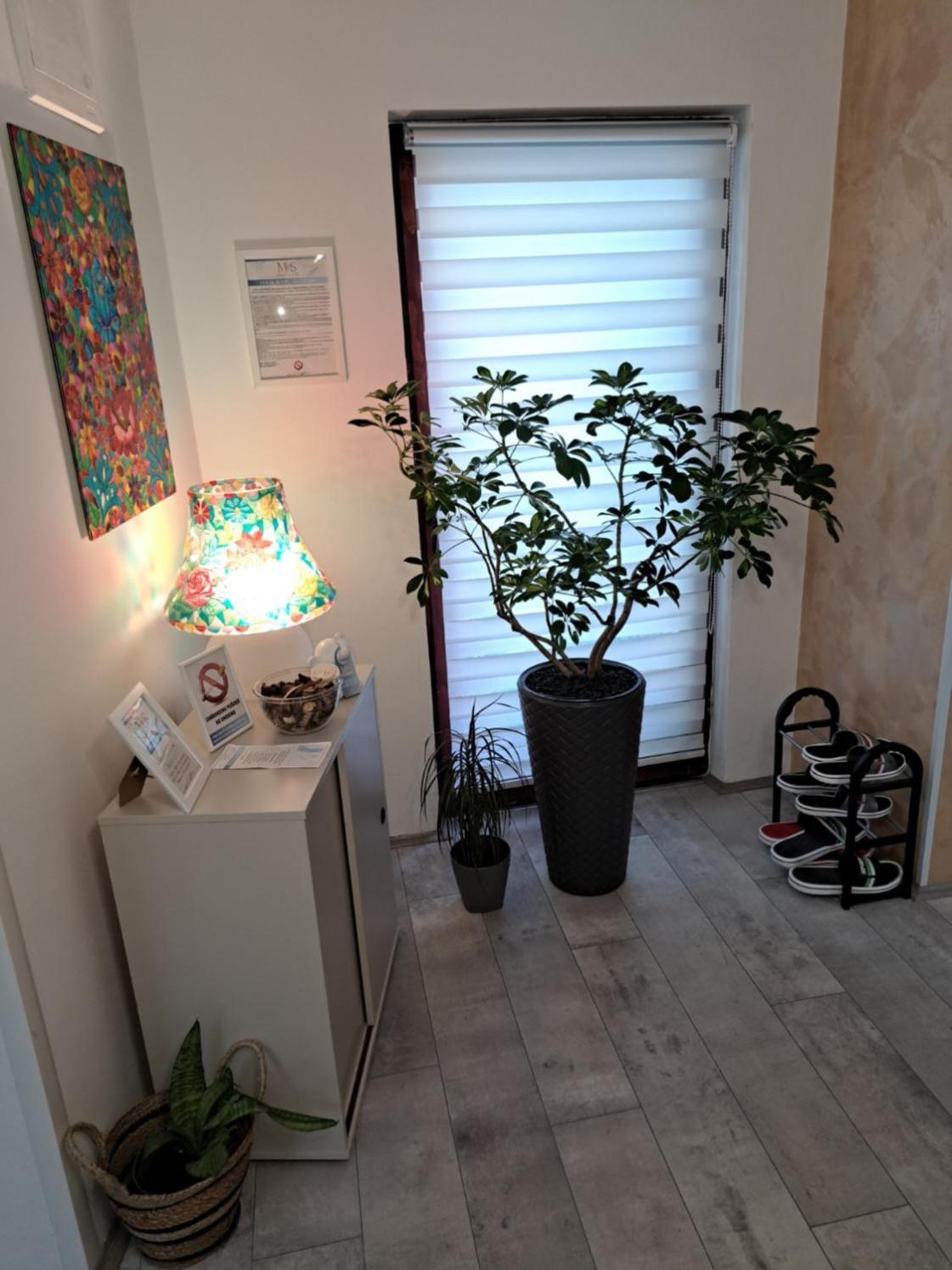 Stefan Apartman Novi Sad Dış mekan fotoğraf